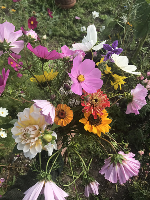 Blomsterne i marken